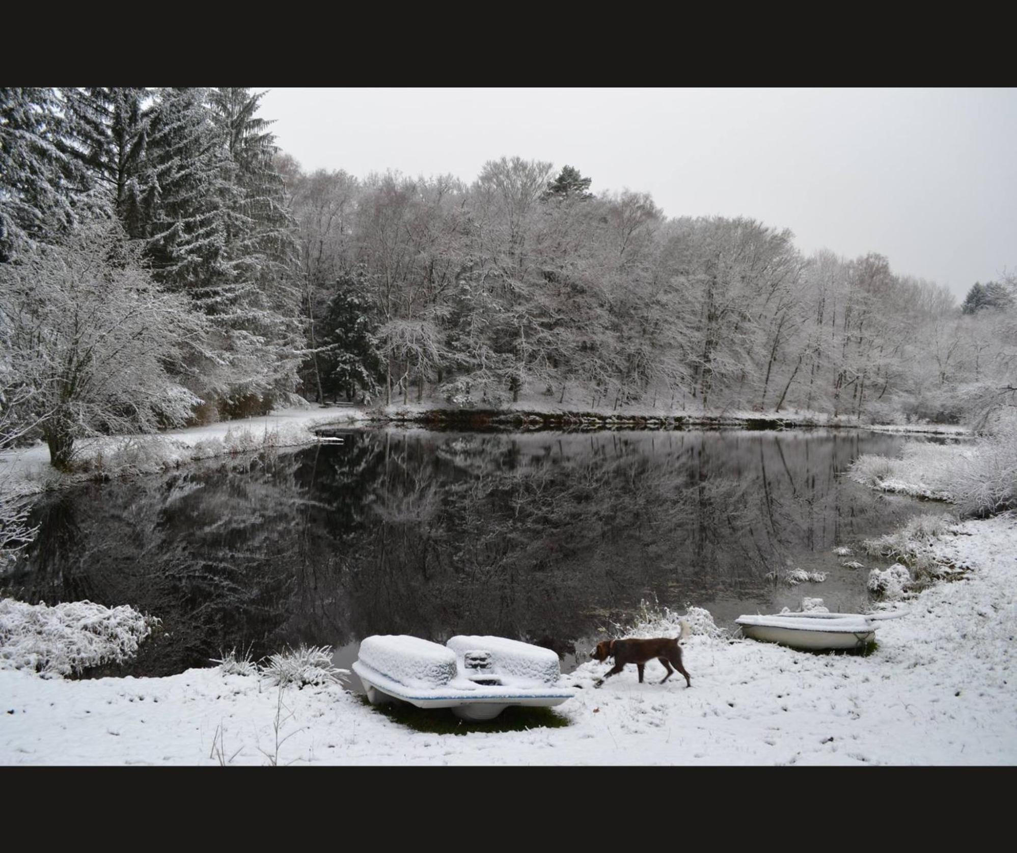 Cabane Limousine Au Bord D'Un Etang Bonnac-la-Côte Dış mekan fotoğraf